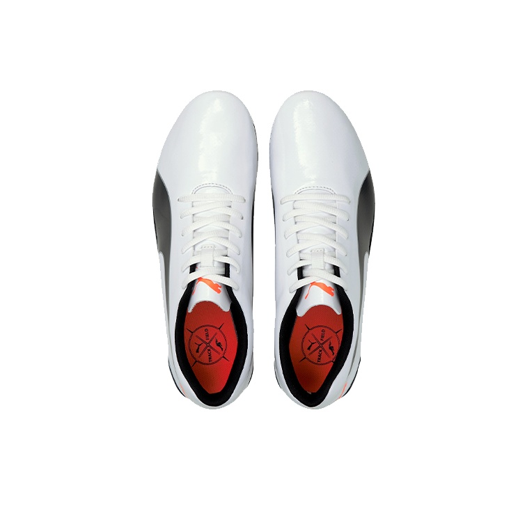 PUMA EvoSPEED Prep Sprint 2 La - огляд і ціна Men Shoes Puma